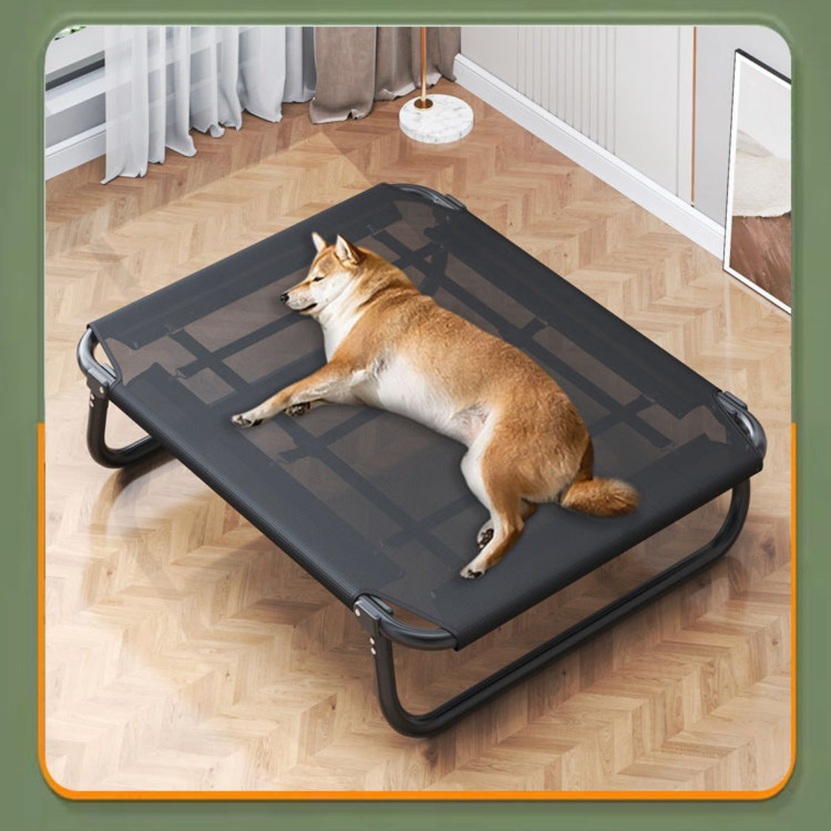 Dog & Cat Bed Breathable & Raised