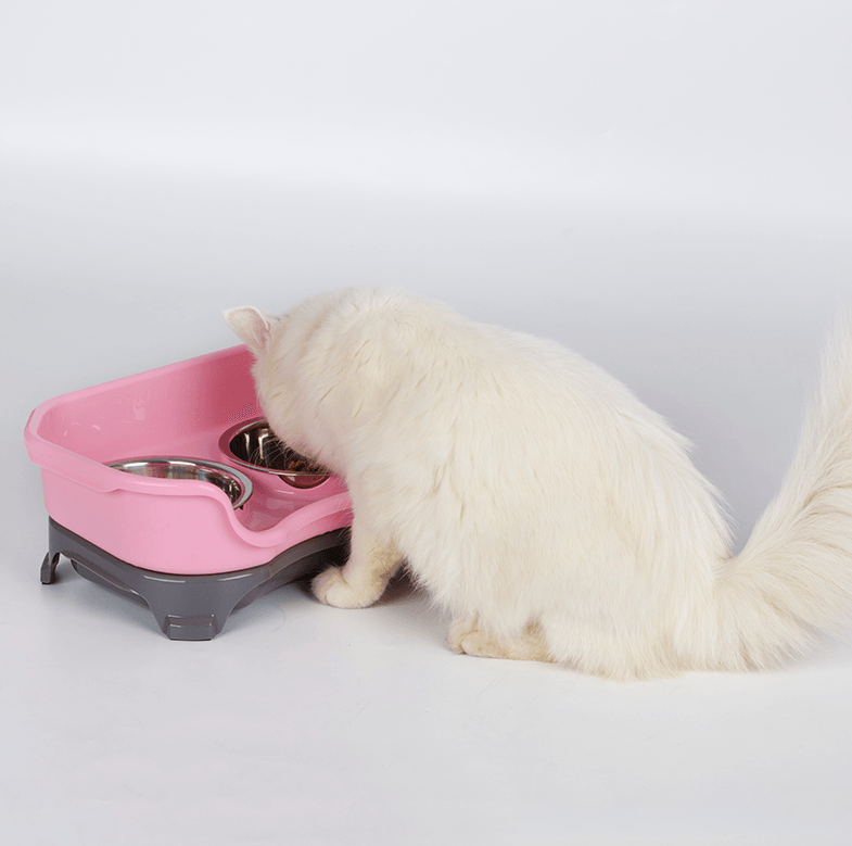 Pet Double Basin Stainless Steel Bowl Set