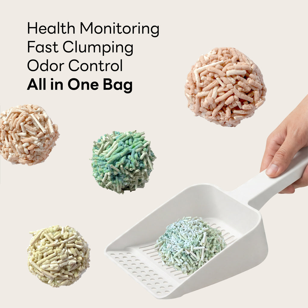Purrify Health Monitoring Cat Litter Color Changing Clumping Low Dust