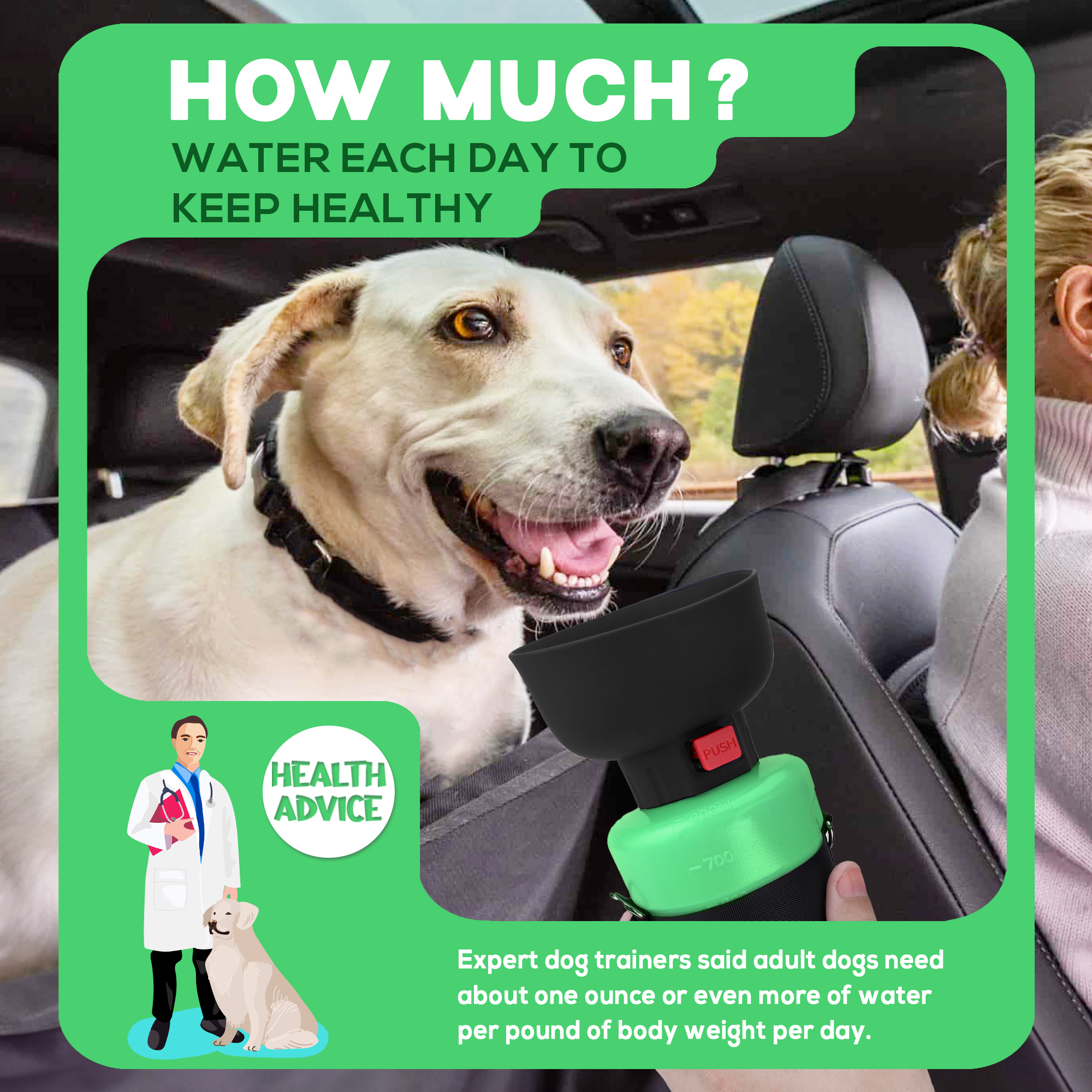 28oz Portable Dog Water Bottle Dispenser-3Gen-Green