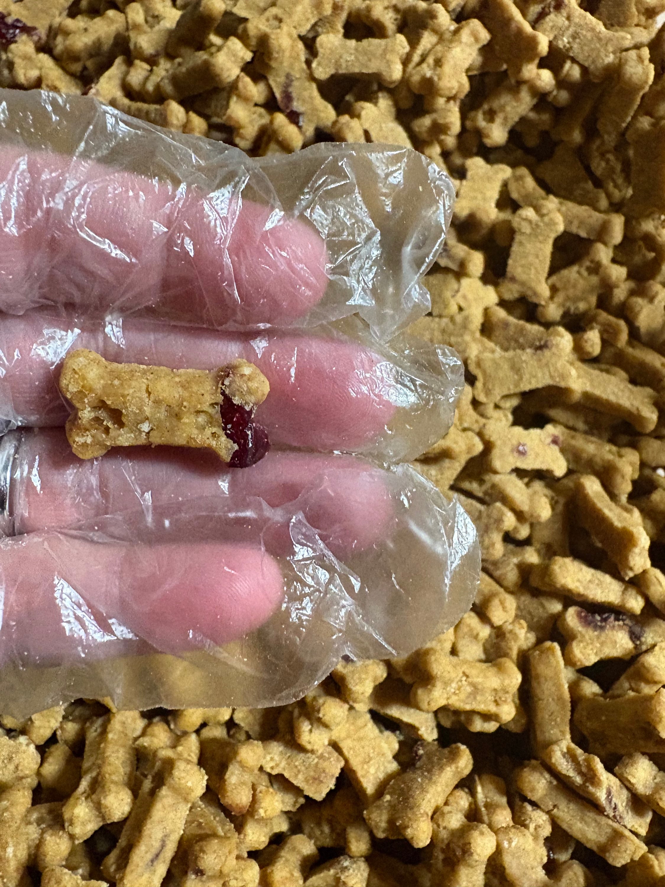Pumpkin & Cranberry Soft Dog Treats | Wholesale Bulk Dog Treats | Made in USA