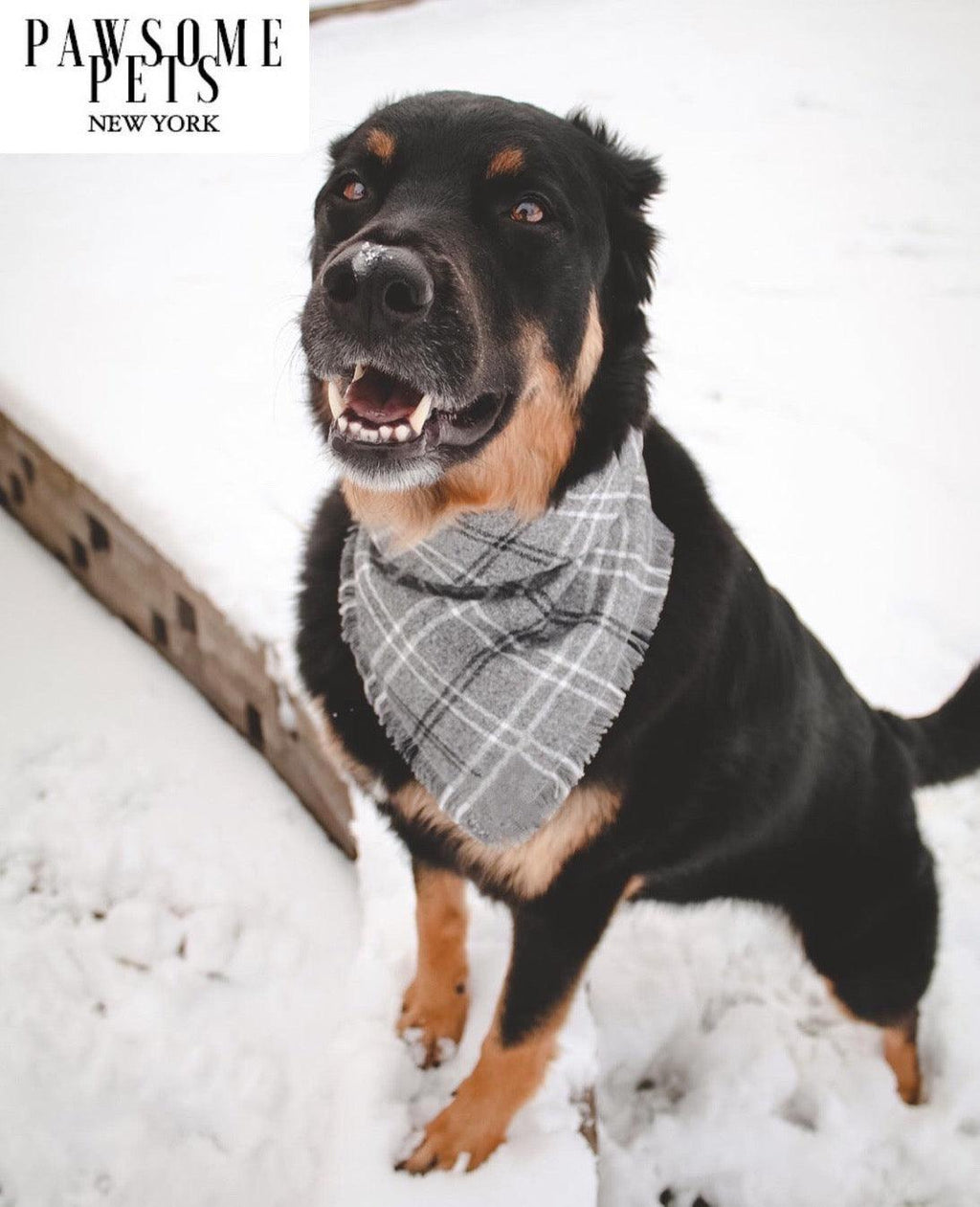 BANDANA - RAINER