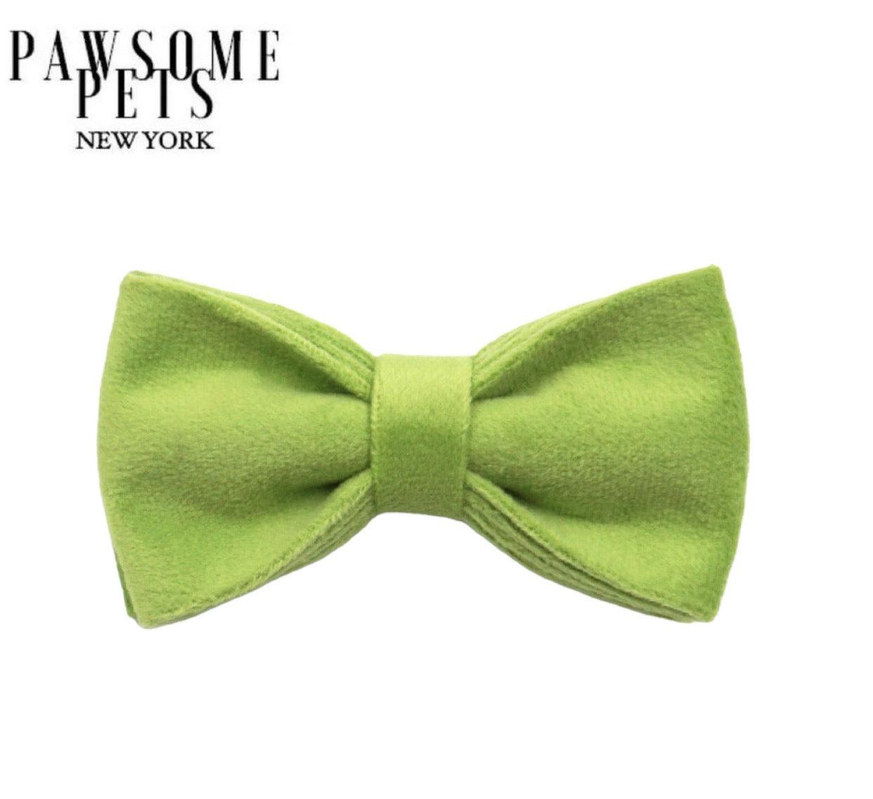 BOWTIE - GRASS GREEN