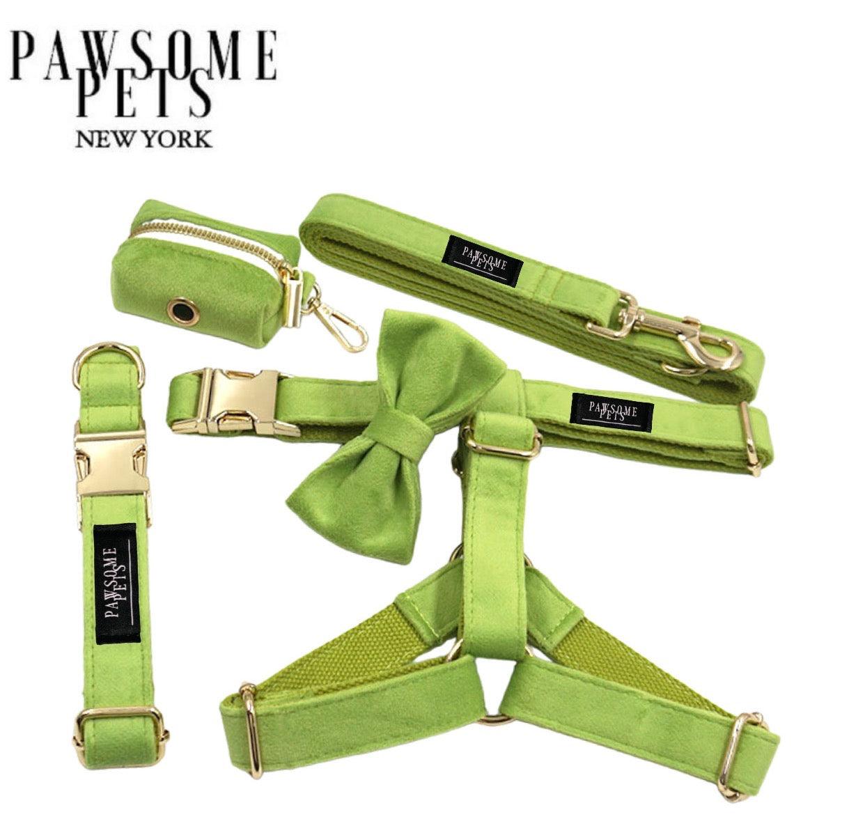STEP IN BUNDLE - GREEN (5 PIECES)