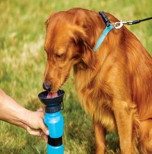 Pet Oasis: Portable Water Bottle Drinker For Dogs On The Go