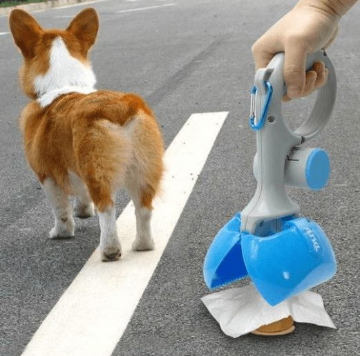 Portable Pet Waste Management System