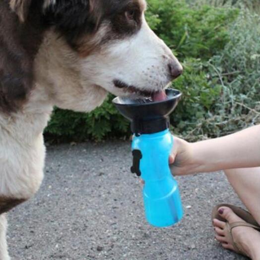 Pet Oasis: Portable Water Bottle Drinker For Dogs On The Go