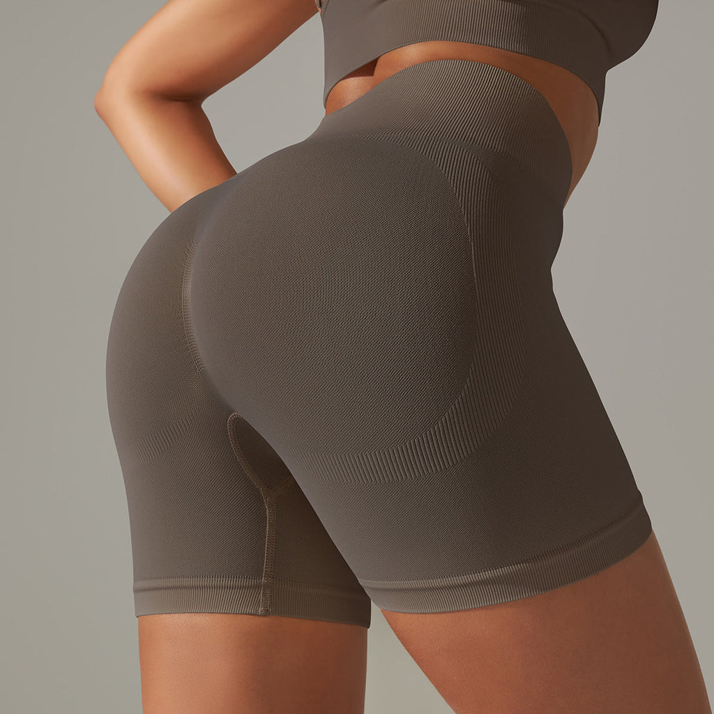 Sculpting High Waist Shorts