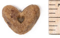 Vanilla Crunchy Dog Treats | Beyondwhiskers