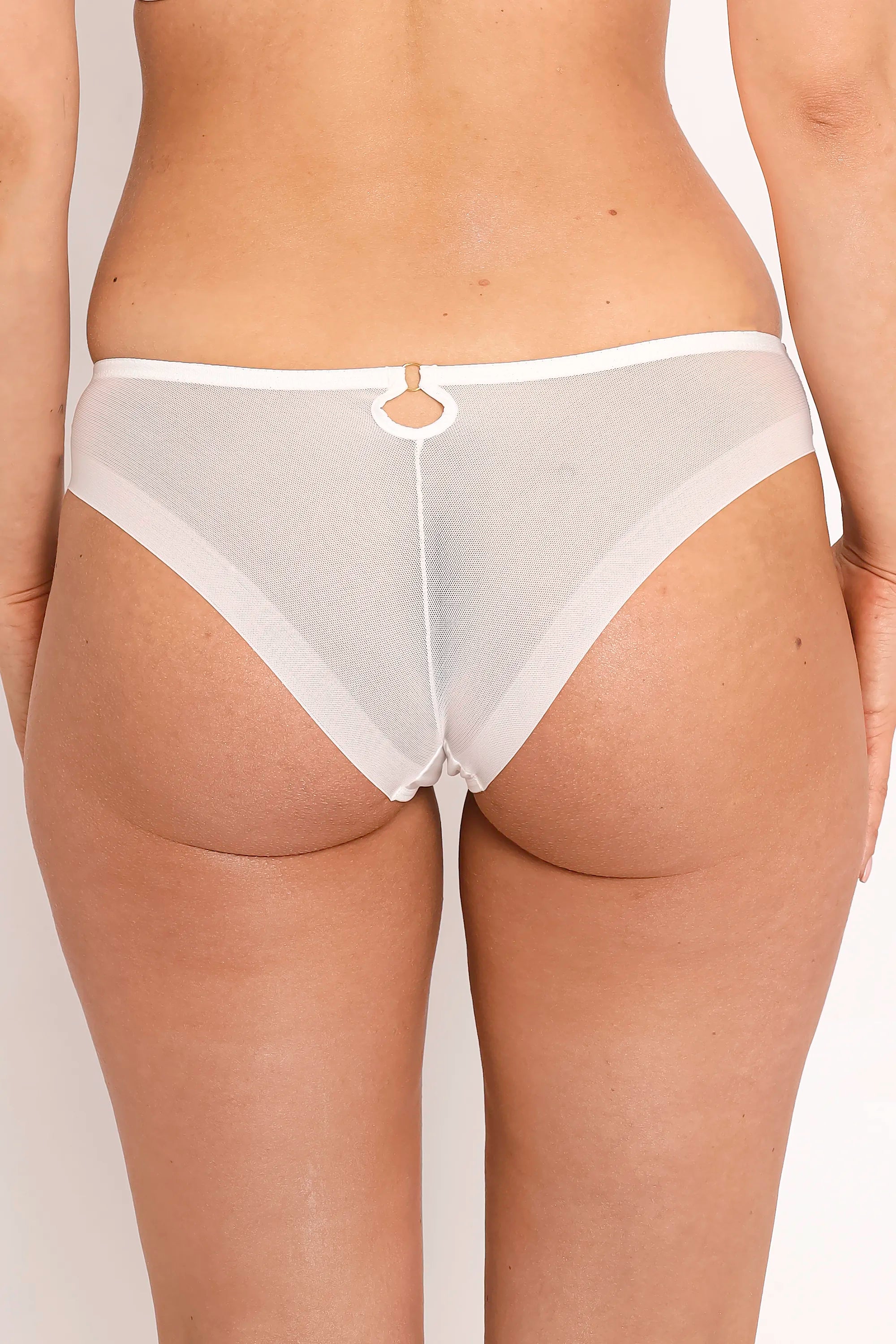 Samanta Perla Ivory Sheer Mesh Tulle Embroidered Tanga Panty