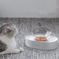 Adjustable Stainless Steel Pet Double Bowl - Elevated Feeding Solution