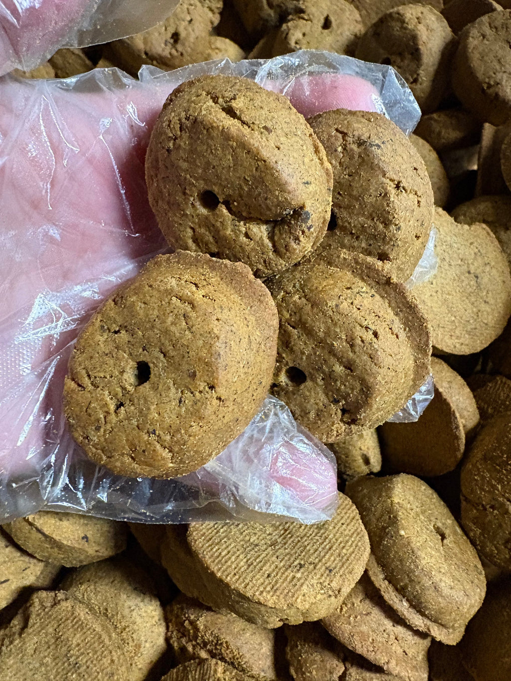 Natural Meatloaf Crunchy Dog Treats – Wholesome Flavor in Every Bite | Bulk | BeyondWhiskers